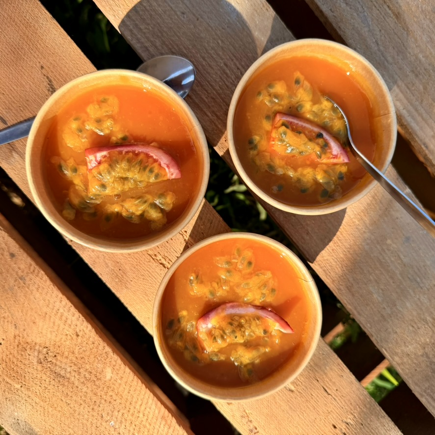 Panna Cotta Exotique